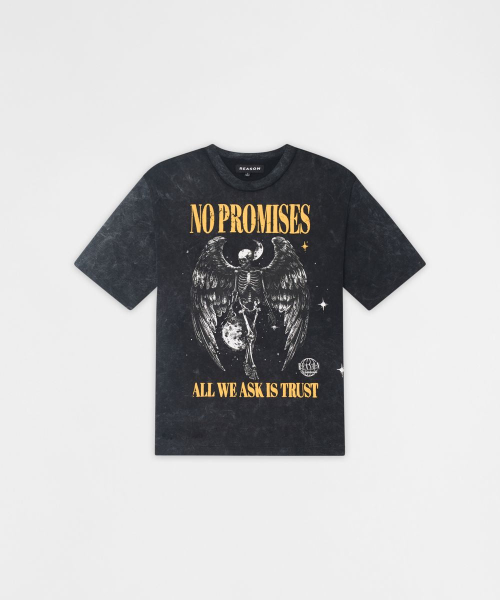 Reason No Promises Heavyweight Tee